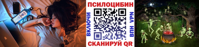 закладки  Стрежевой  Псилоцибиновые грибы Cubensis 